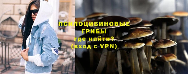 твердый Богородск