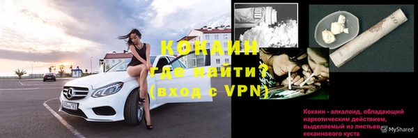 твердый Богородск