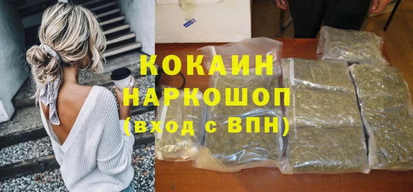 твердый Богородск