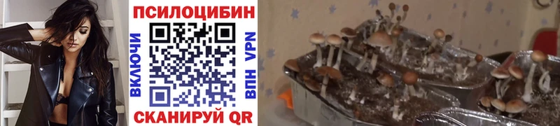 Галлюциногенные грибы Magic Shrooms  Киреевск 